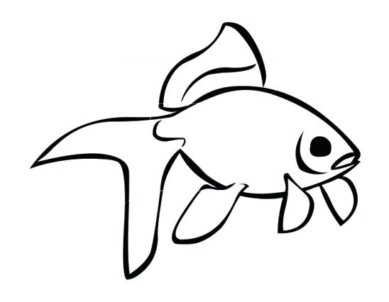Outline Of Fish | Free download on ClipArtMag