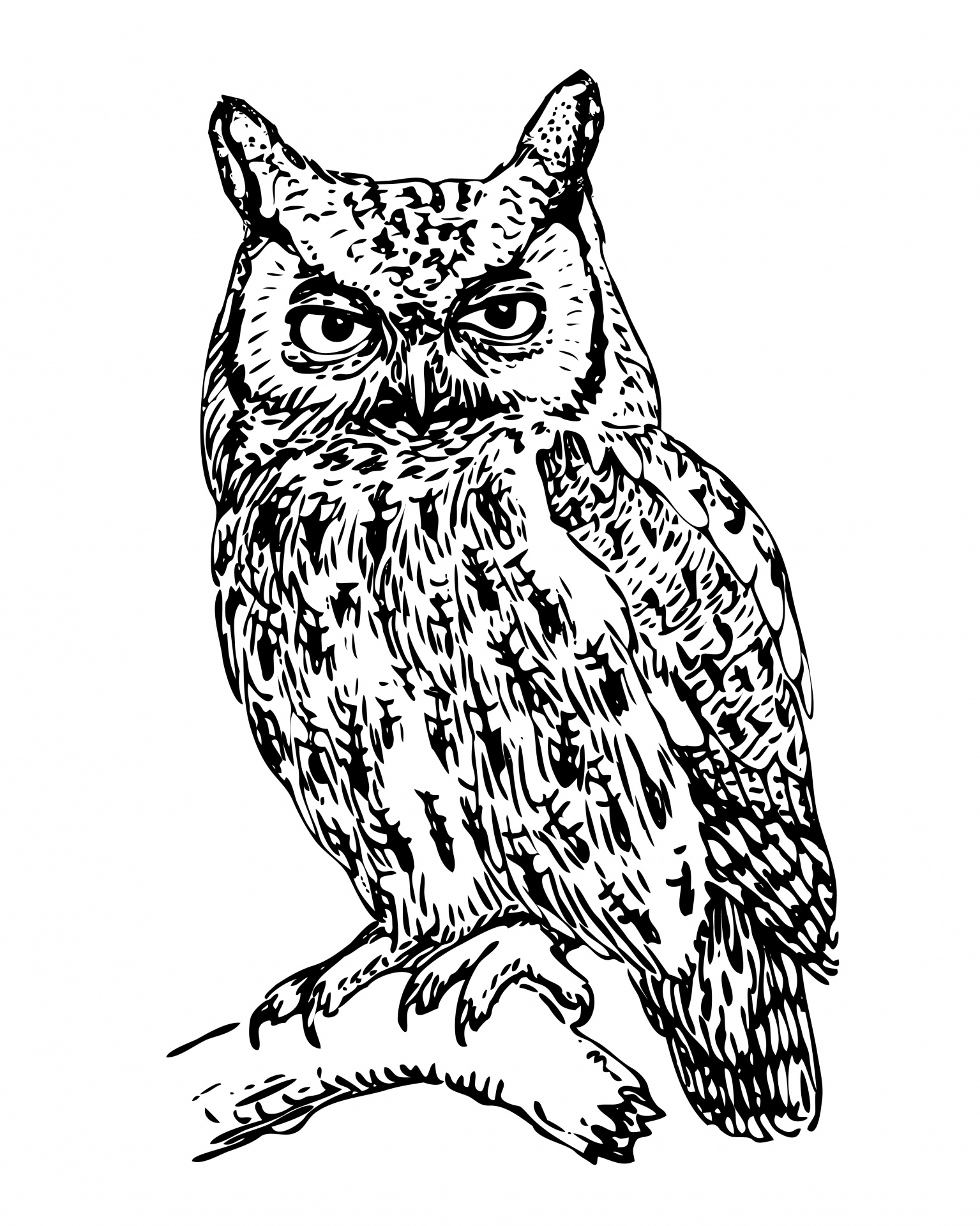 Owl Black And White Clipart Free download on ClipArtMag