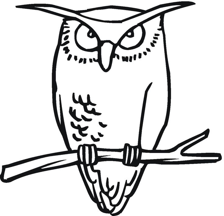 Owl Clipart Black And White | Free download on ClipArtMag