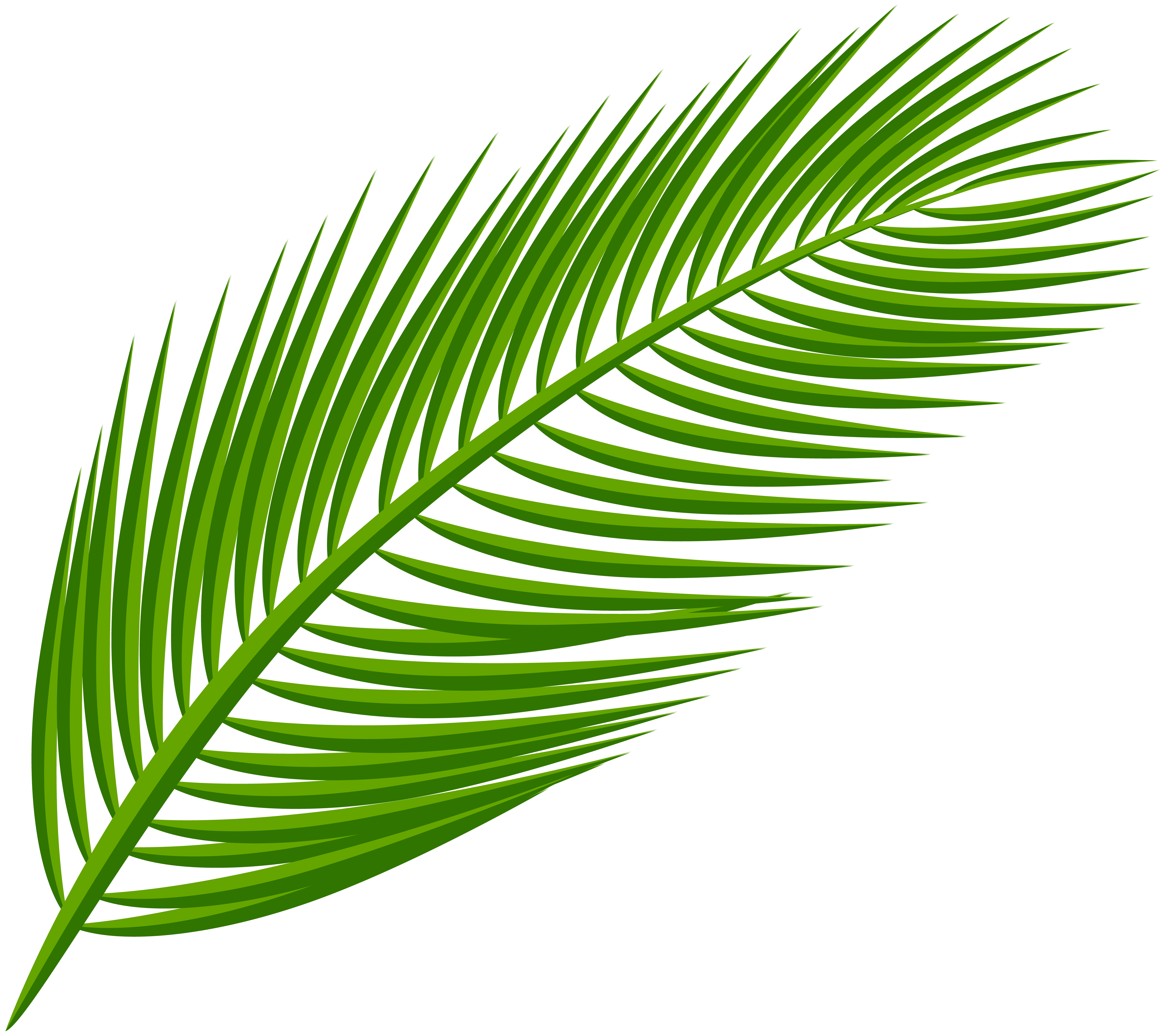 Palm Leaf Clipart | Free download on ClipArtMag