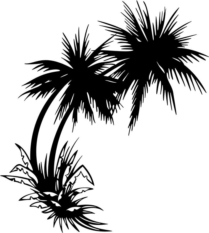 Palm Tree Black And White Clipart | Free download on ClipArtMag