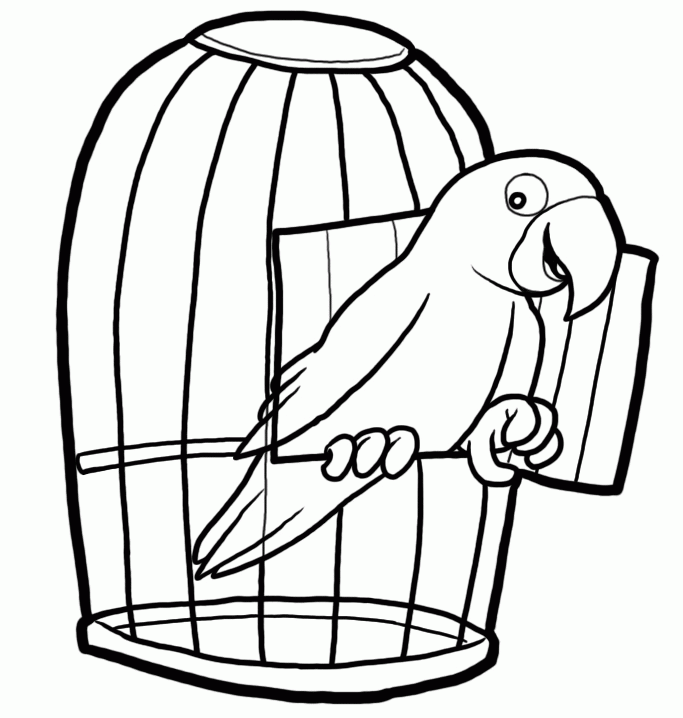 Parrot Black And White Clipart Free download on ClipArtMag