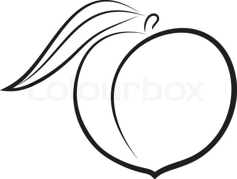 peach clipart black and white