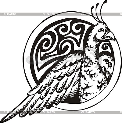 Peacock Clipart Black And White | Free download on ClipArtMag