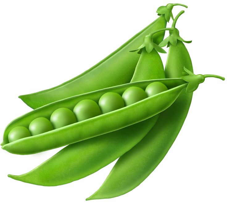Peas Clipart | Free download on ClipArtMag