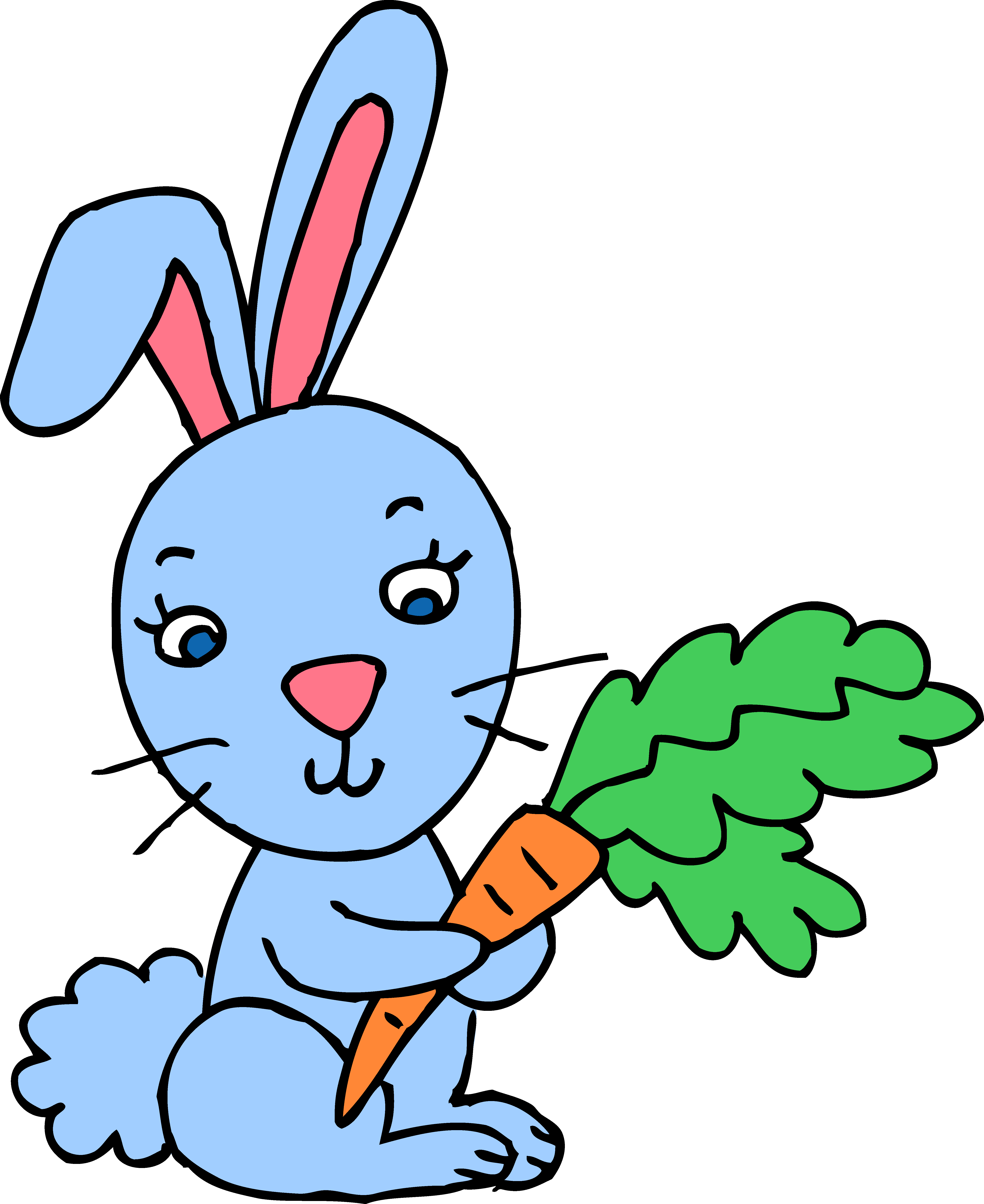 pink bunny and blue bunny cartoon