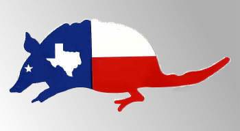 Texas State Map Flag car bumper window sticker decal 10"