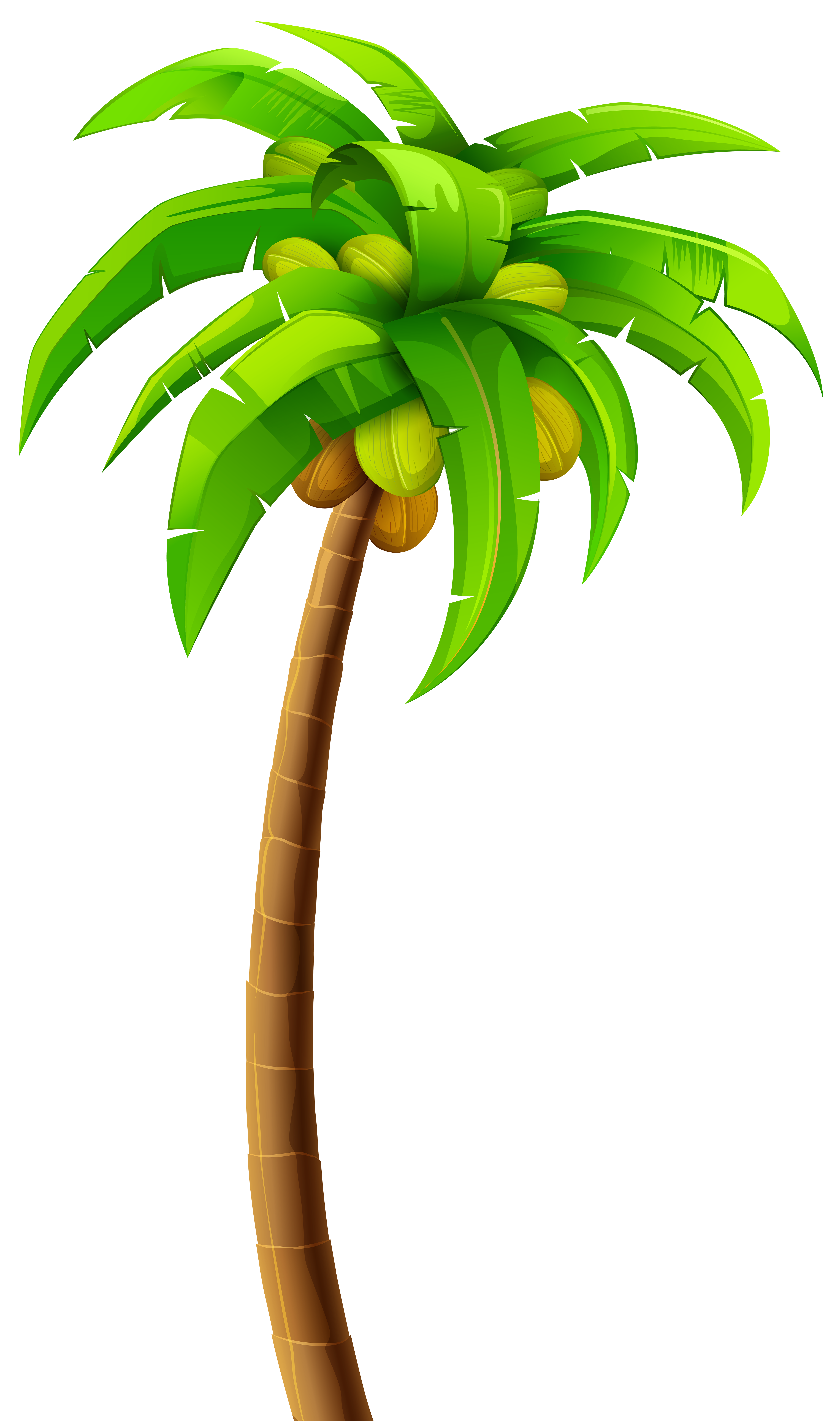 Picture Of A Palm Tree | Free download on ClipArtMag