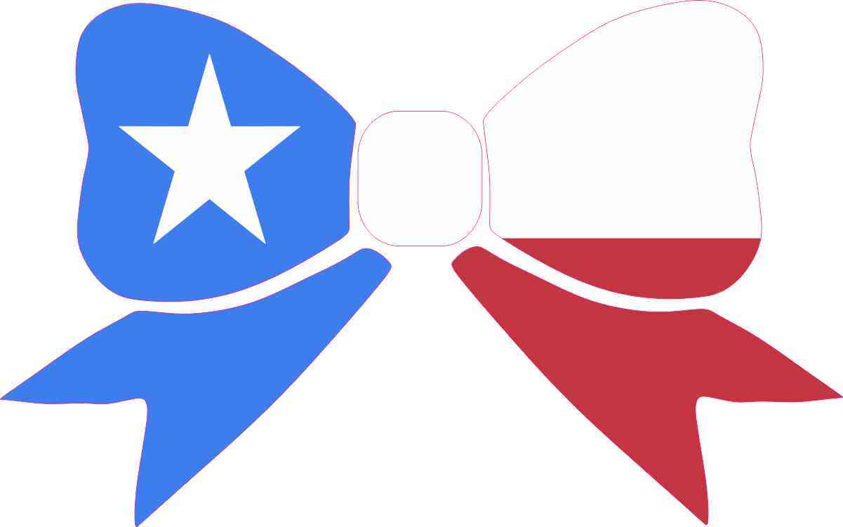 Texas State Map Flag car bumper window sticker decal 10"