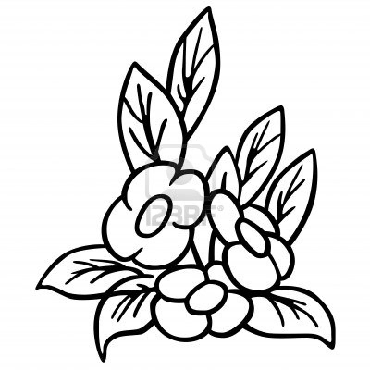 Pictures Of Flower Drawings | Free download on ClipArtMag