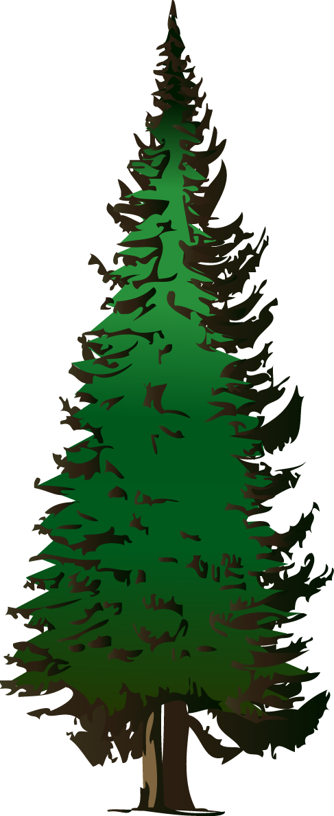 Pine Tree Outline Free Download On ClipArtMag