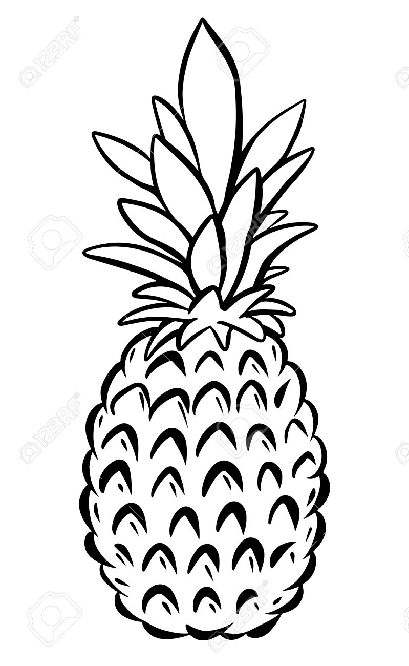 Pineapple Black And White Free download on ClipArtMag