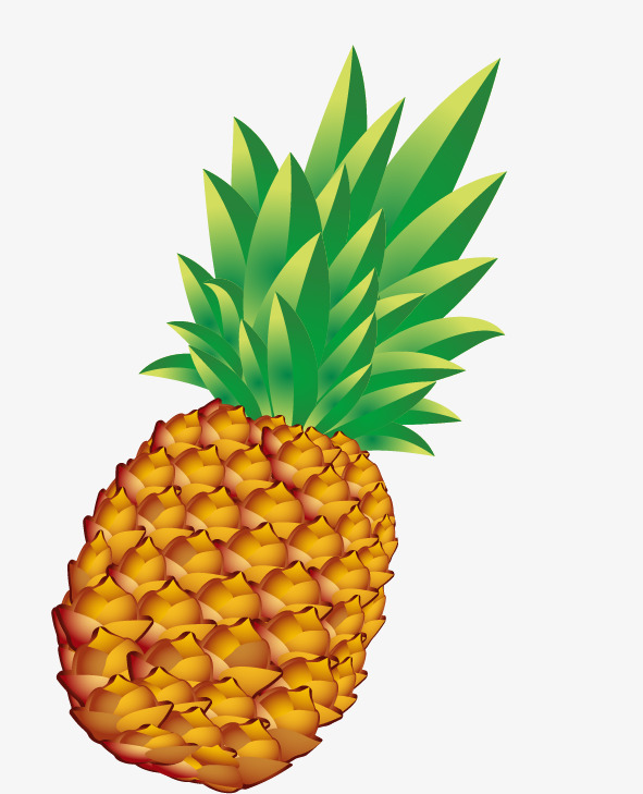 Collection of Pineapple clipart | Free download best ...