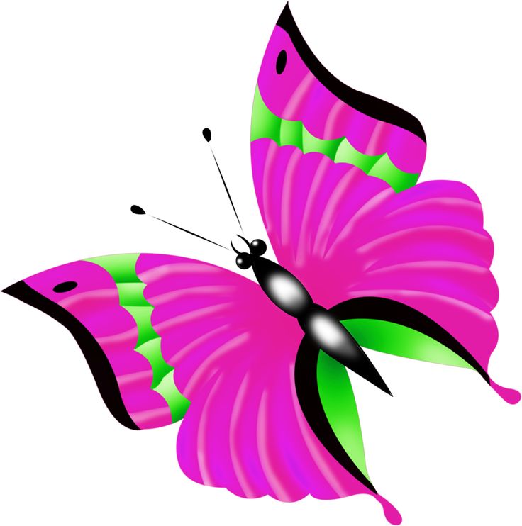 Pink And Purple Butterfly Clipart Free Download On Clipartmag