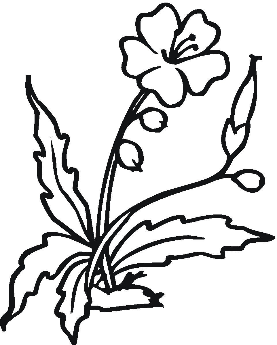 Plant Clipart Black And White | Free download on ClipArtMag