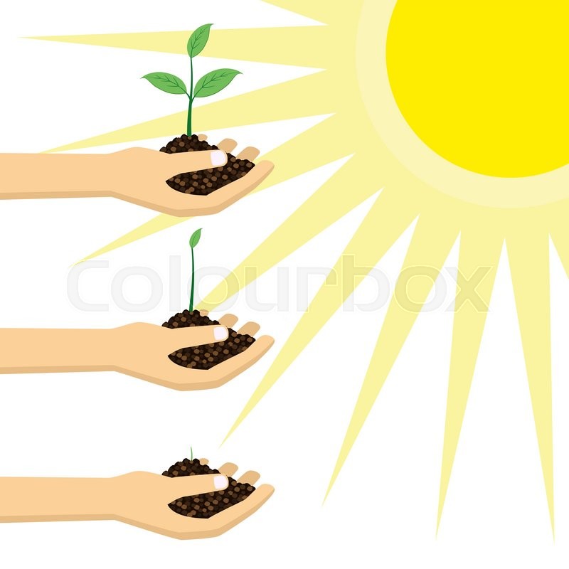 collection-of-plant-clipart-free-download-best-plant-clipart-on