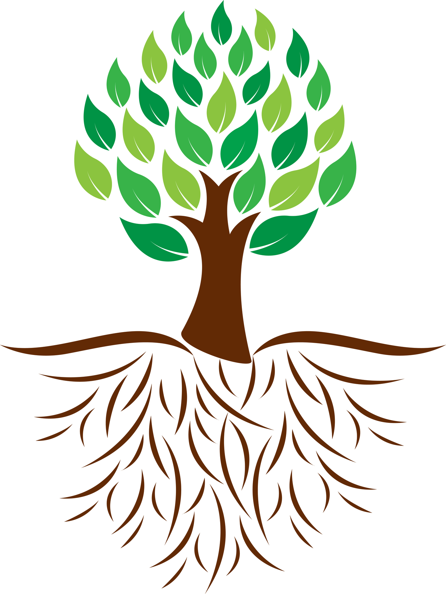 Plant With Roots Clipart | Free download on ClipArtMag