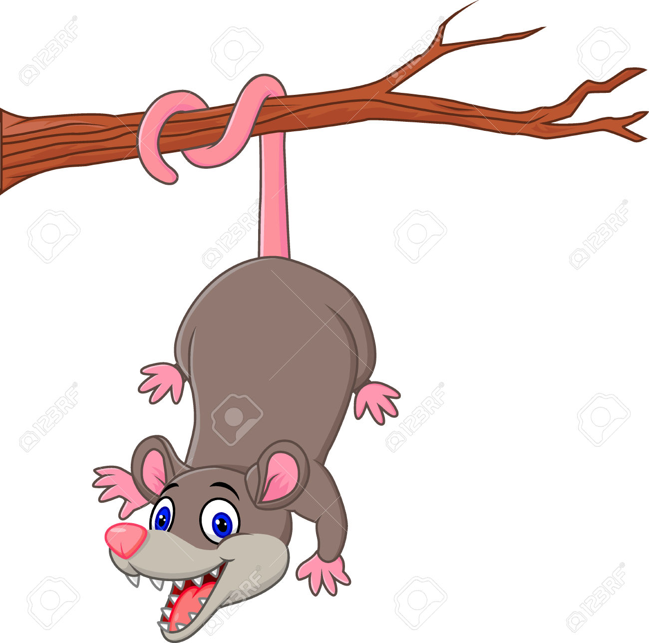 Possum Clipart | Free download on ClipArtMag