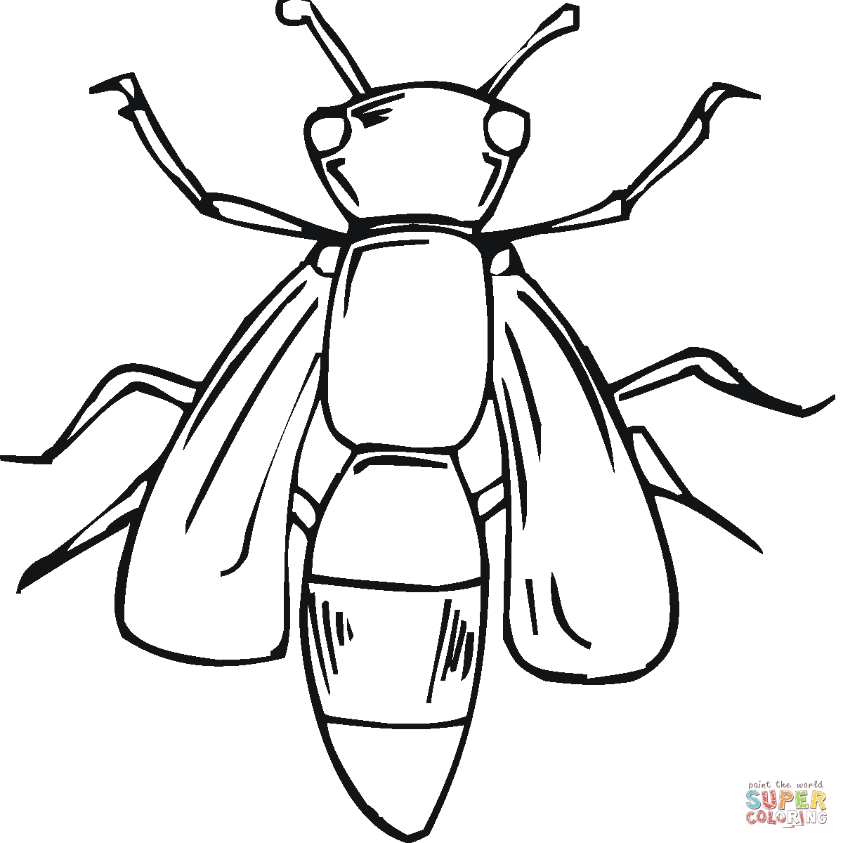 Printable Pictures Of Insects | Free download on ClipArtMag