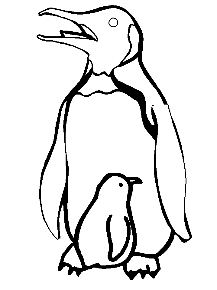 Printable Pictures Of Penguins Free download on ClipArtMag
