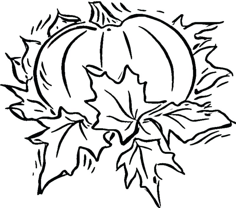 pumpkin-patch-coloring-page-free-download-on-clipartmag
