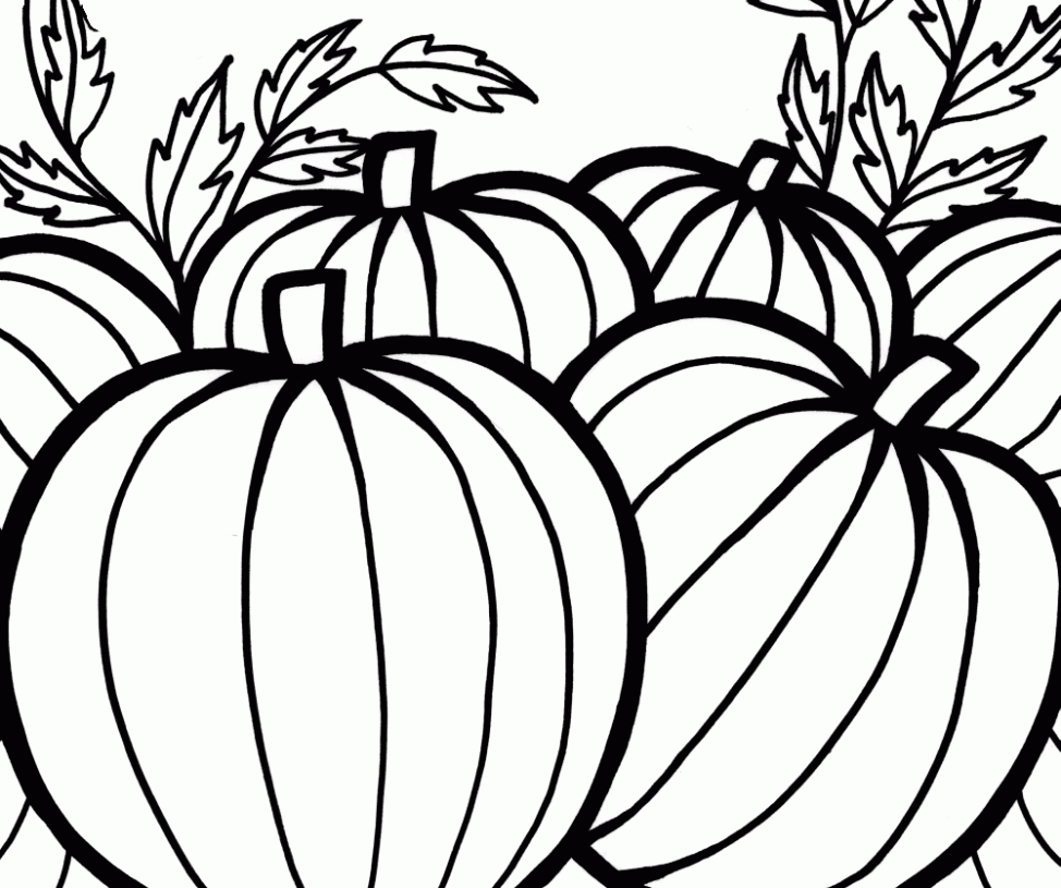 Pumpkin Patch Coloring Page Free Download On ClipArtMag