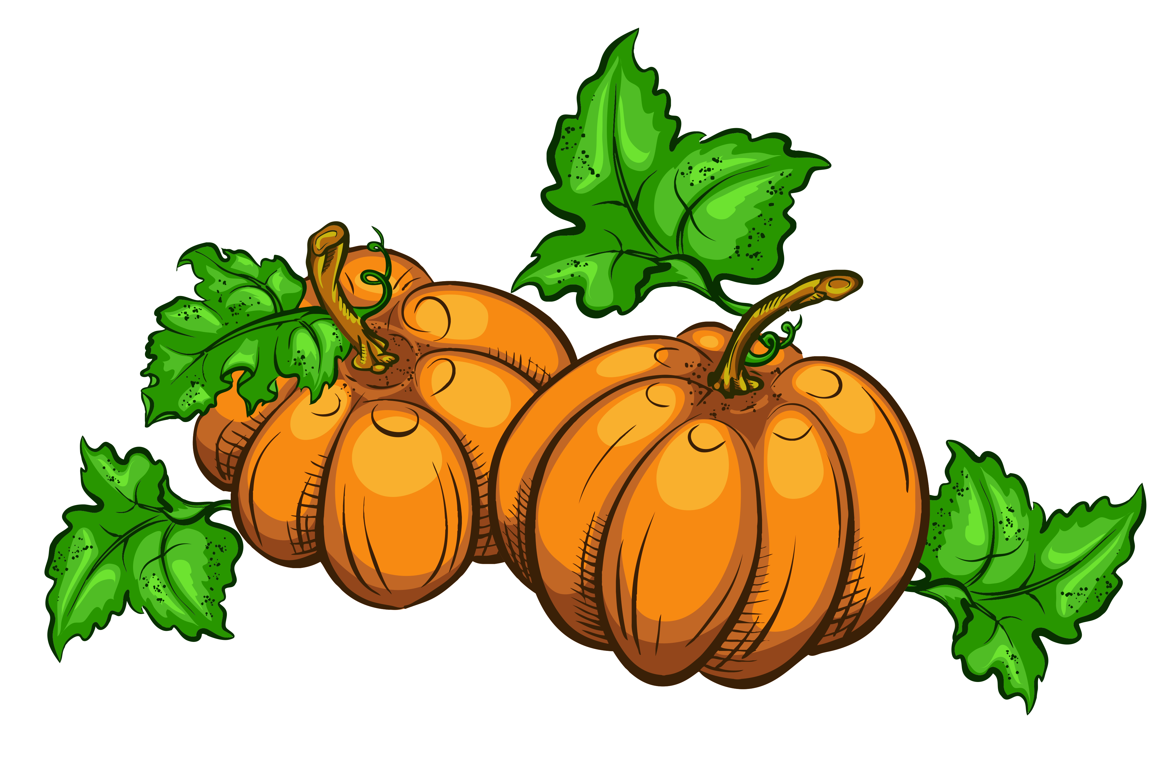 Pumpkin Plant Clipart | Free download on ClipArtMag