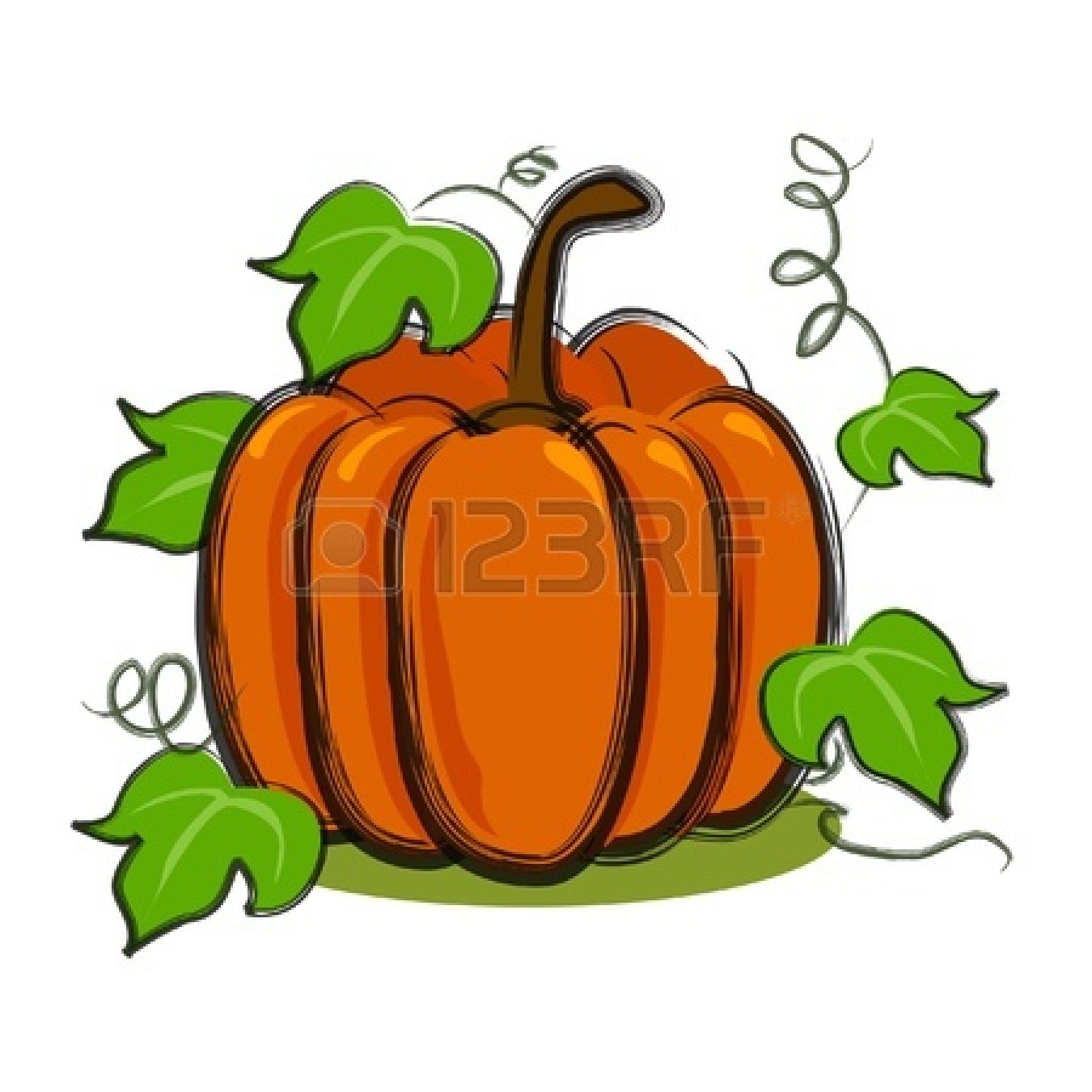 pumpkin leaves pics on vine drawing