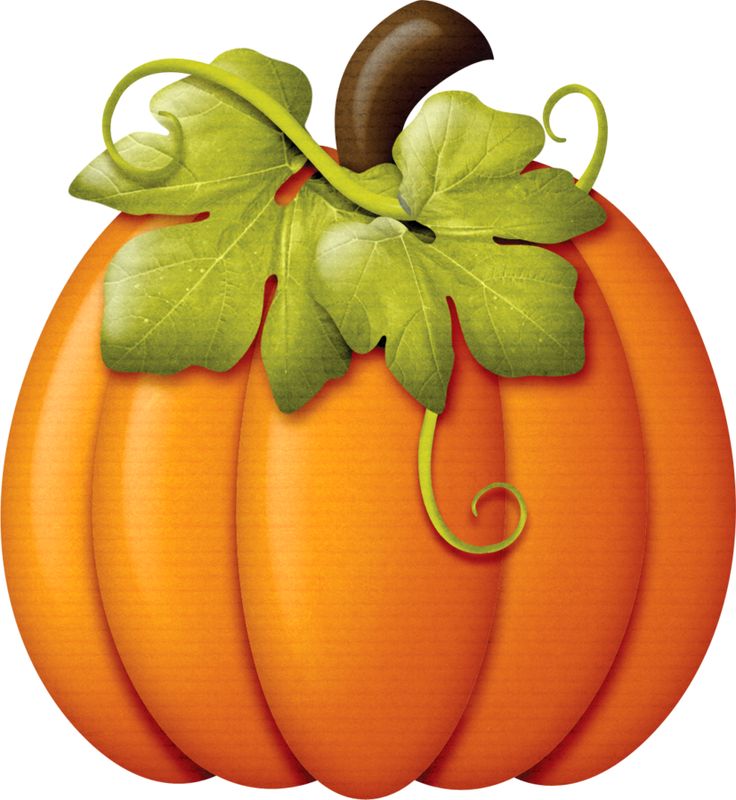 Pumpkin Vines Clipart Free download on ClipArtMag