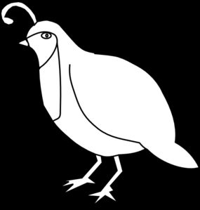 Quail Clipart Black And White | Free download on ClipArtMag