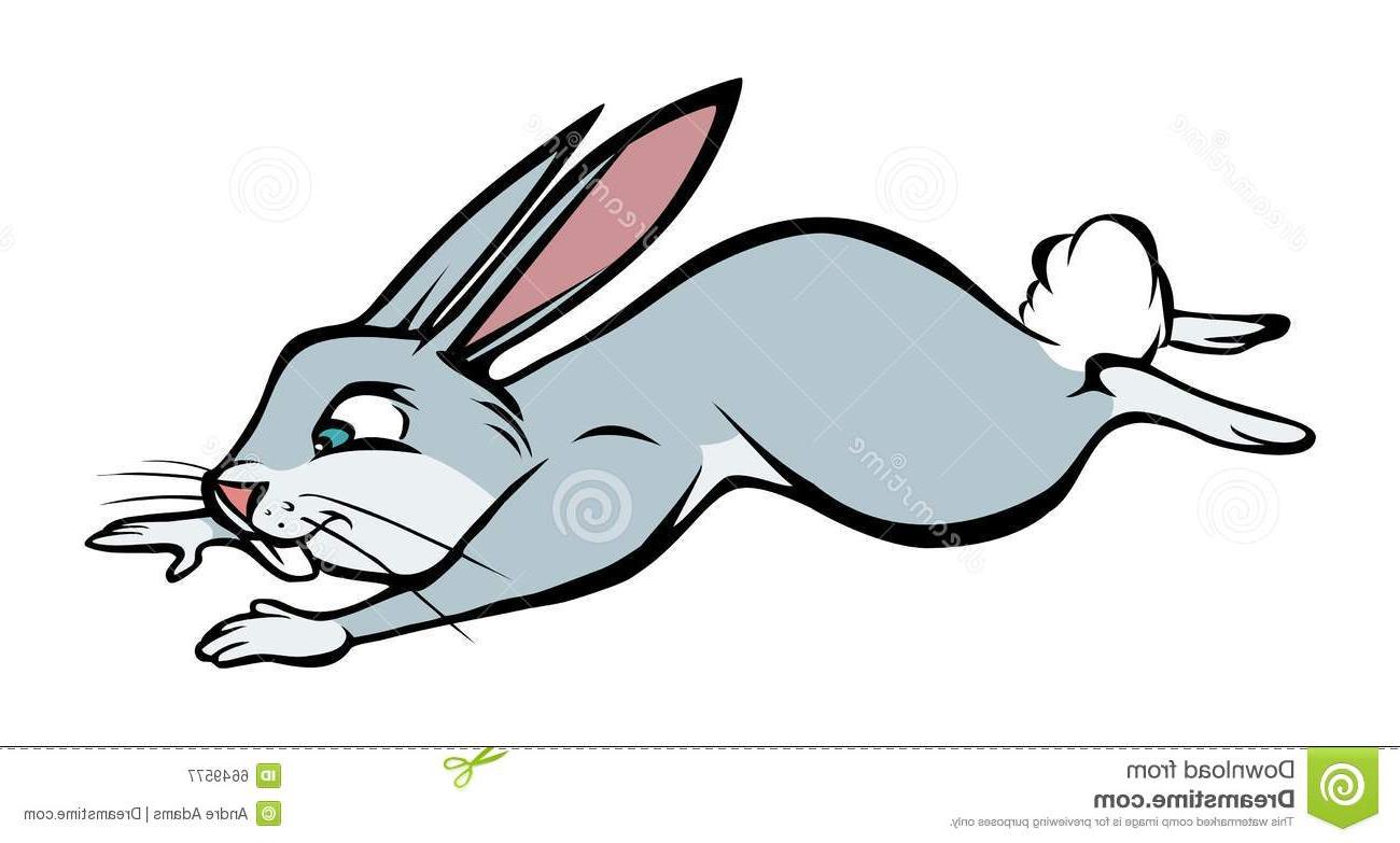 Rabbit Running Clipart Free Download On Clipartmag