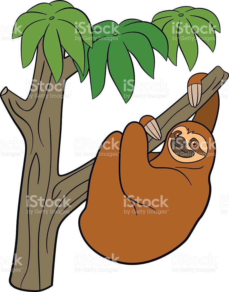 Rainforest Animals Clipart | Free download on ClipArtMag