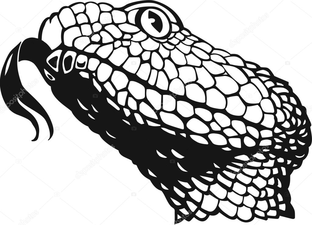 Rattlesnake Clipart Black And White | Free download on ClipArtMag