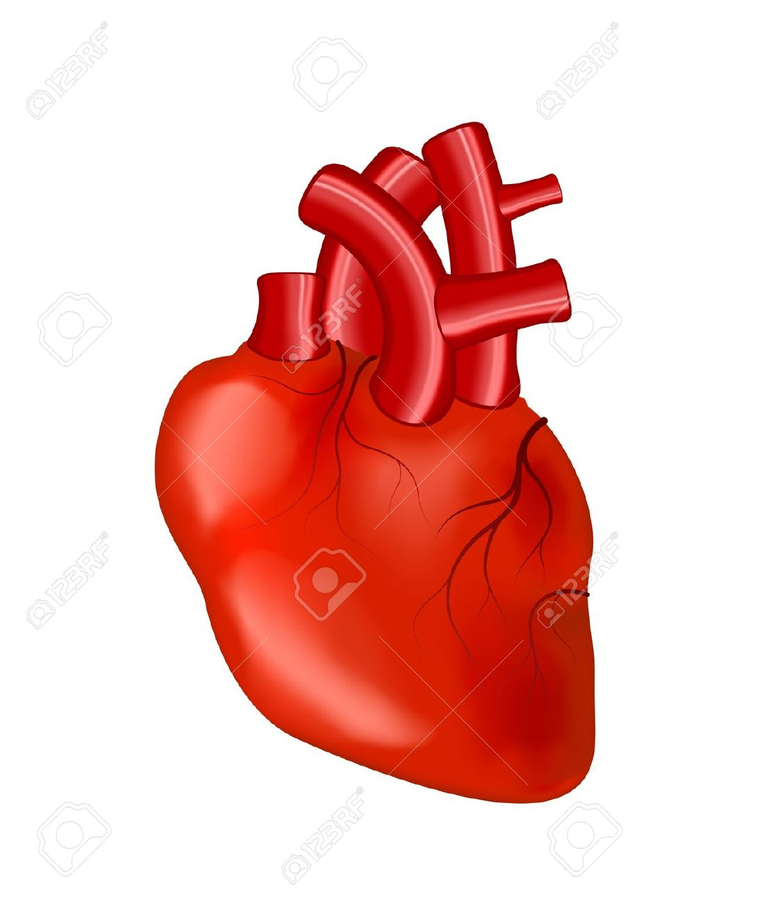 Real Heart Drawing | Free download on ClipArtMag