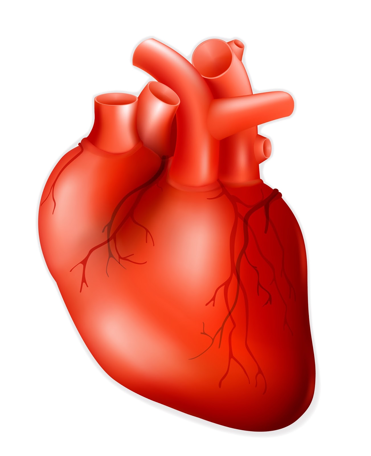 Real Heart Drawing | Free download on ClipArtMag