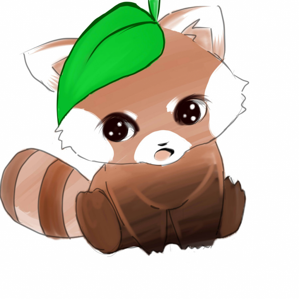 Cartoon Cute Red Panda Drawing Drawshenanigan