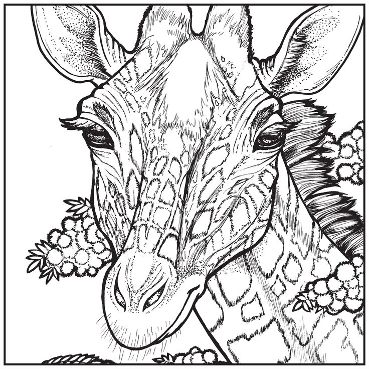 Relaxing Coloring Pages Free download on ClipArtMag
