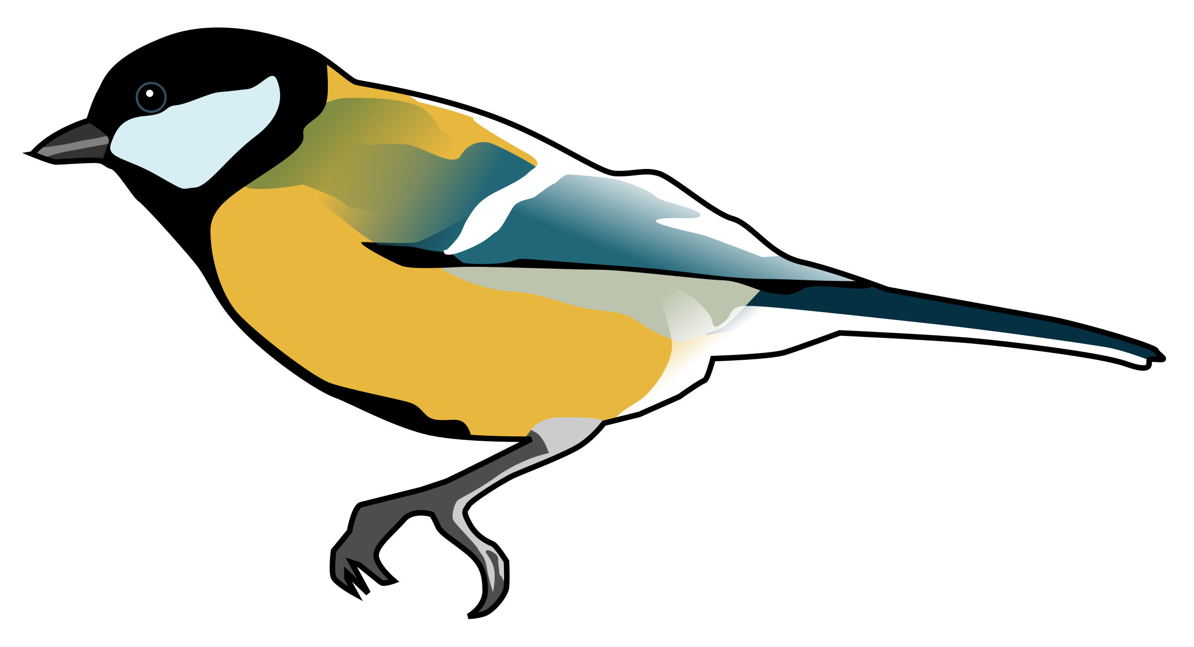 Robin Bird Clipart | Free download on ClipArtMag