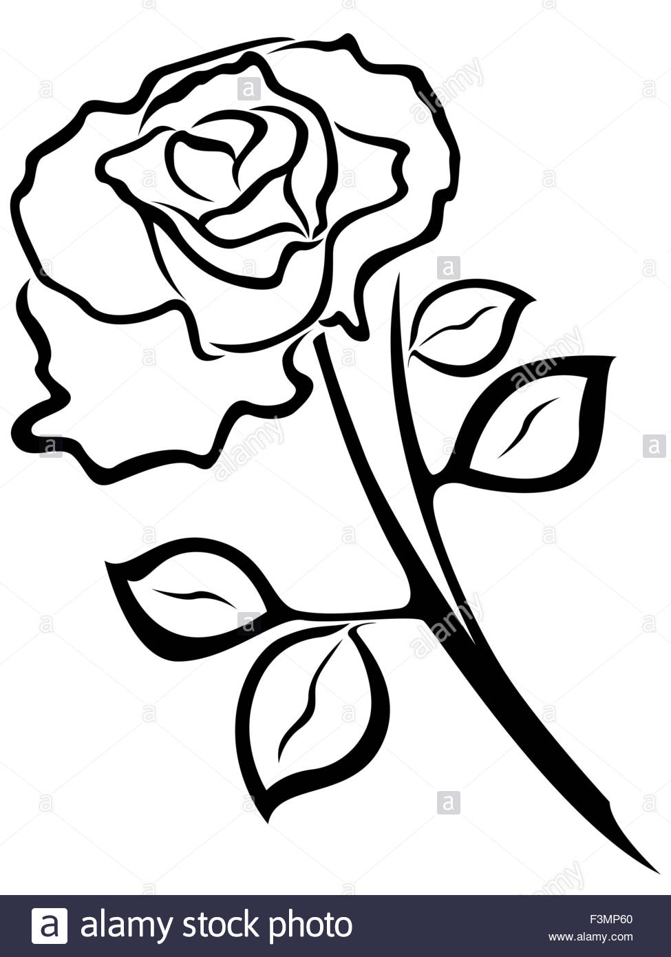 Rose Black And White Outline | Free download on ClipArtMag