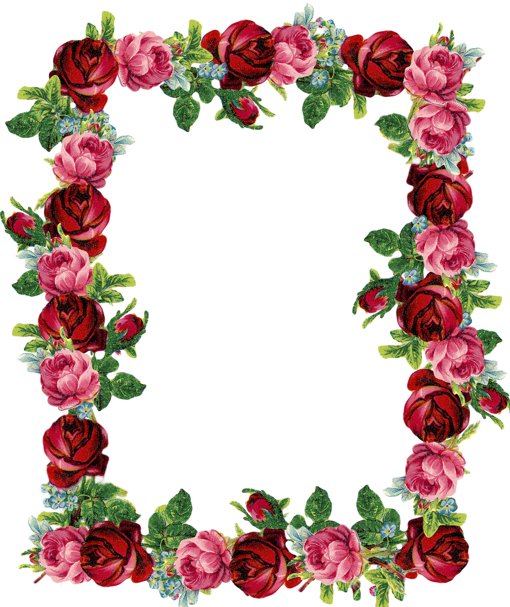 rose-border-clipart-free-download-on-clipartmag