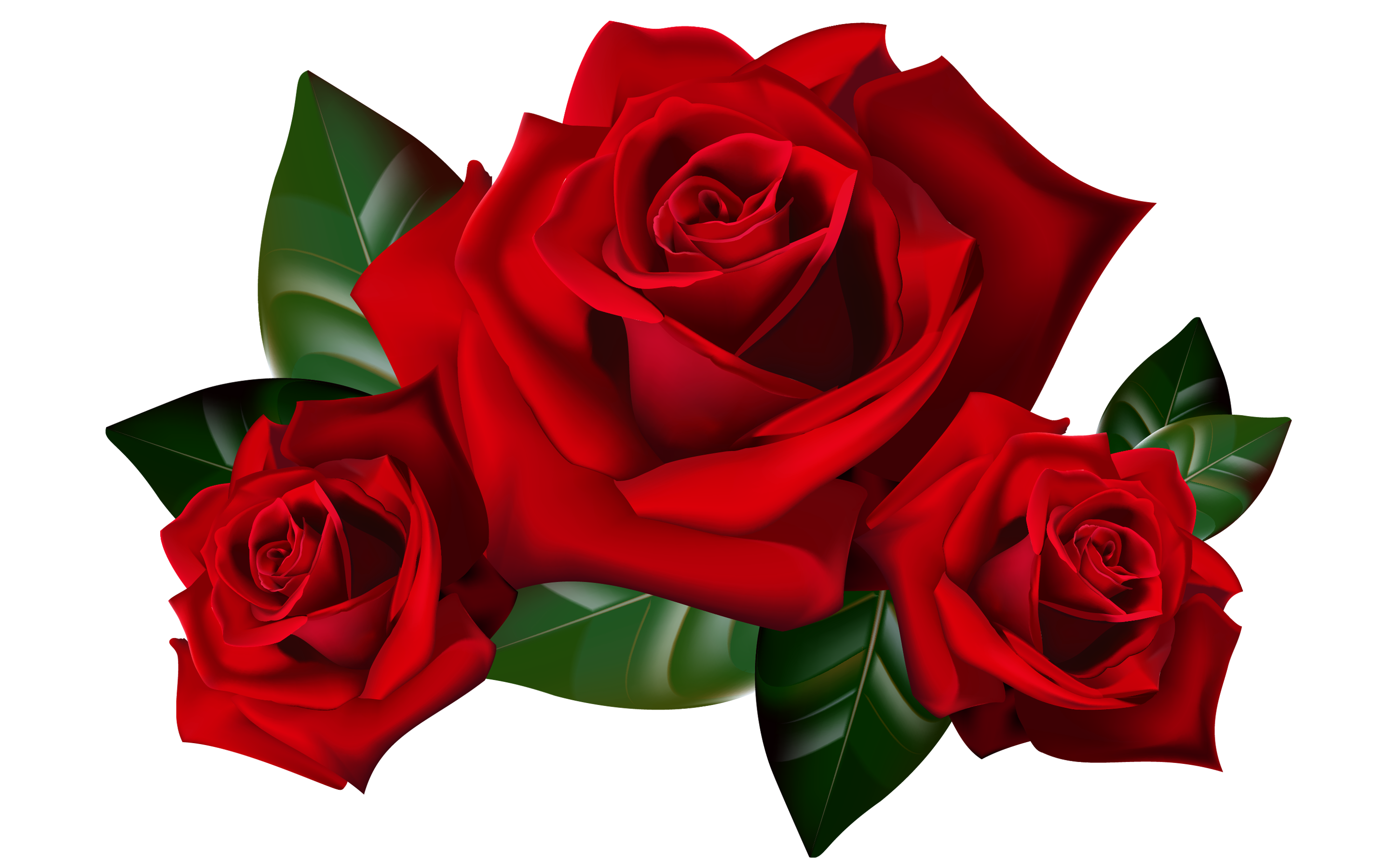 rose-clipart-no-background-free-download-on-clipartmag