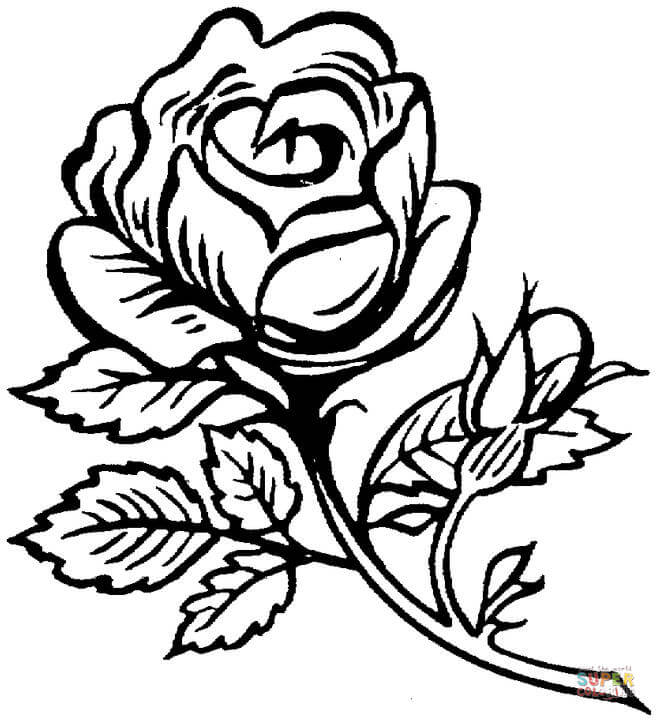 Rose Coloring Pages Free Download On ClipArtMag