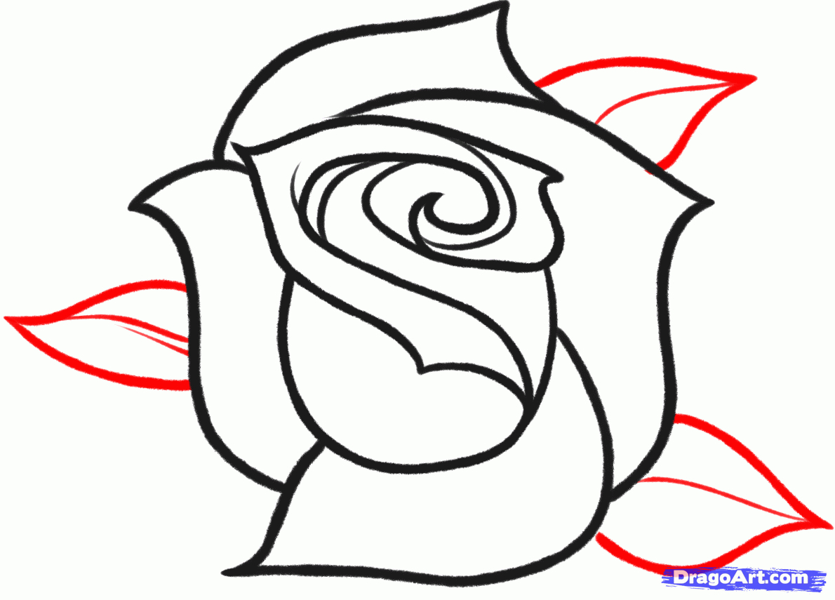 Rose Flower Drawing | Free download on ClipArtMag