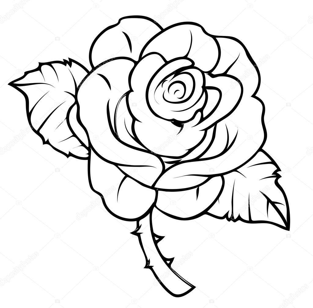 Rose Line Drawing Free download on ClipArtMag