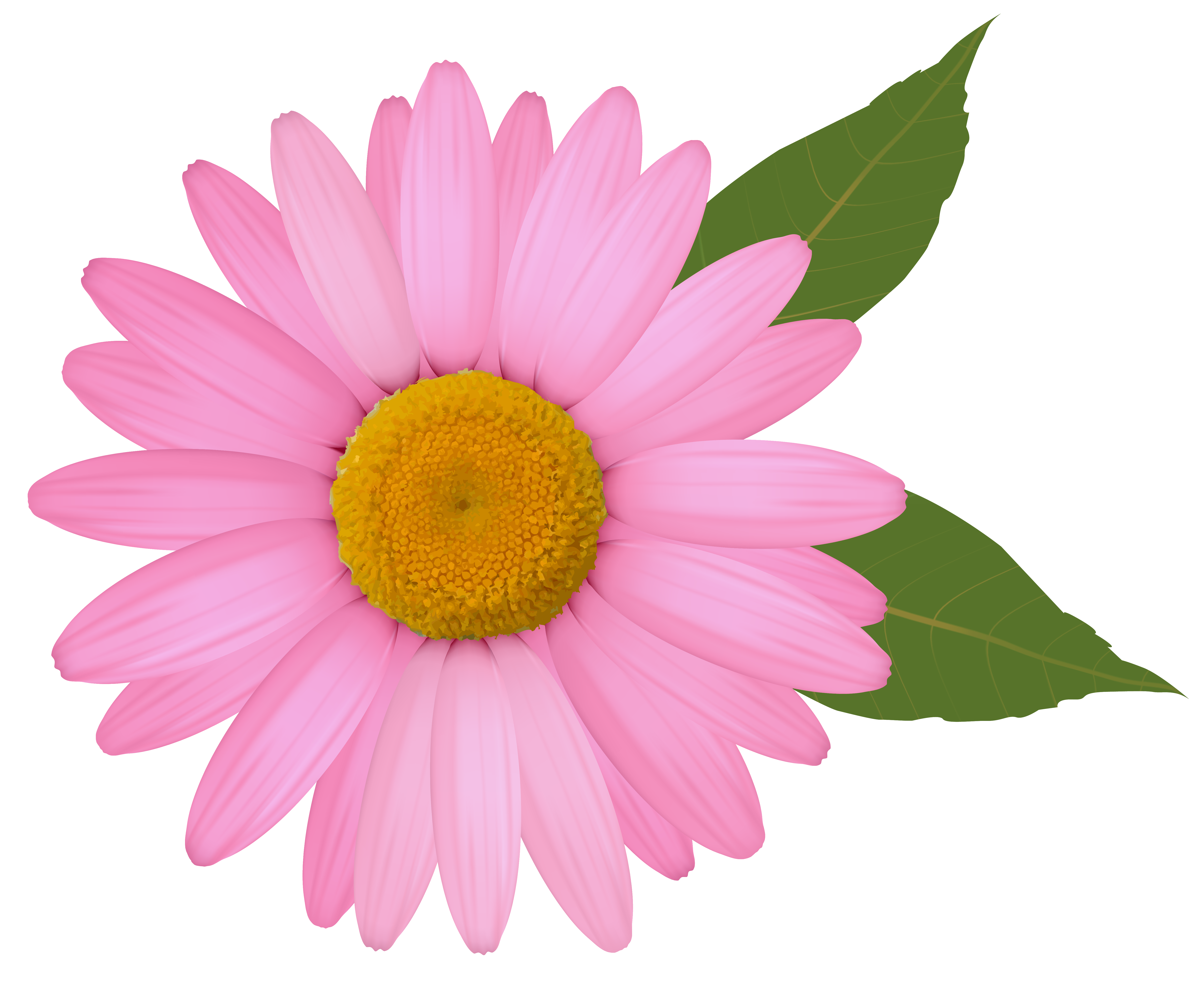 Round Flower Clipart | Free download on ClipArtMag