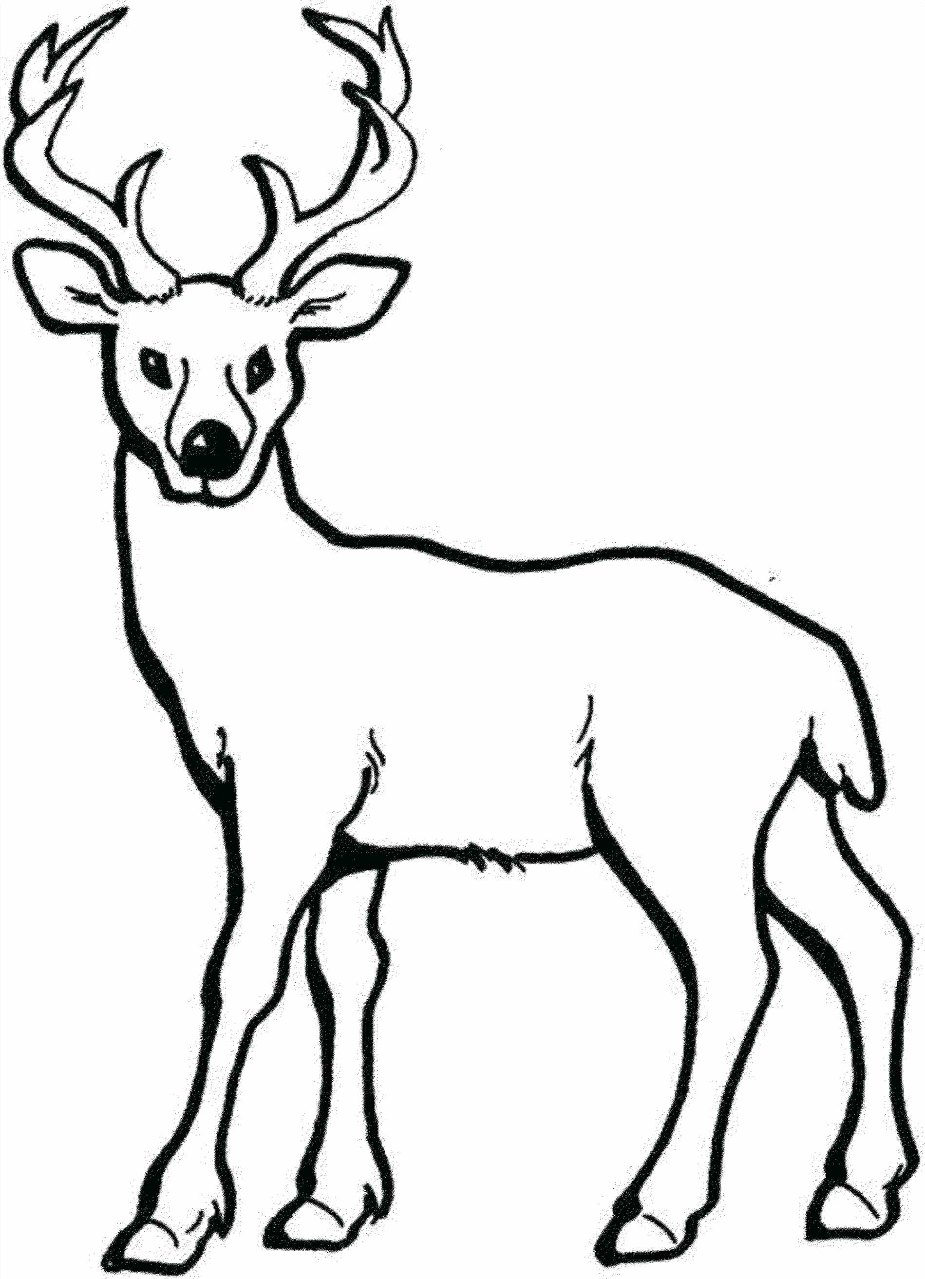 Rudolph Coloring Pages Free download on ClipArtMag