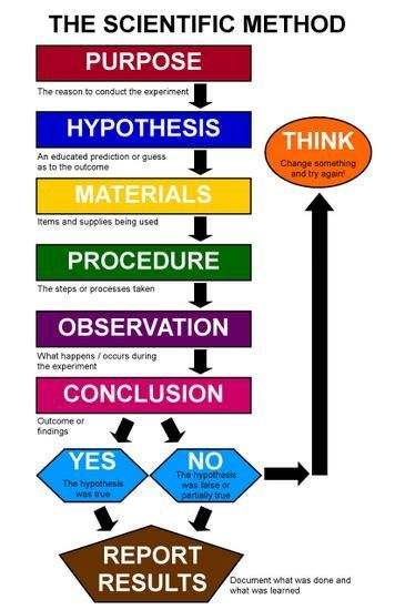 Science Hypothesis | Free download on ClipArtMag