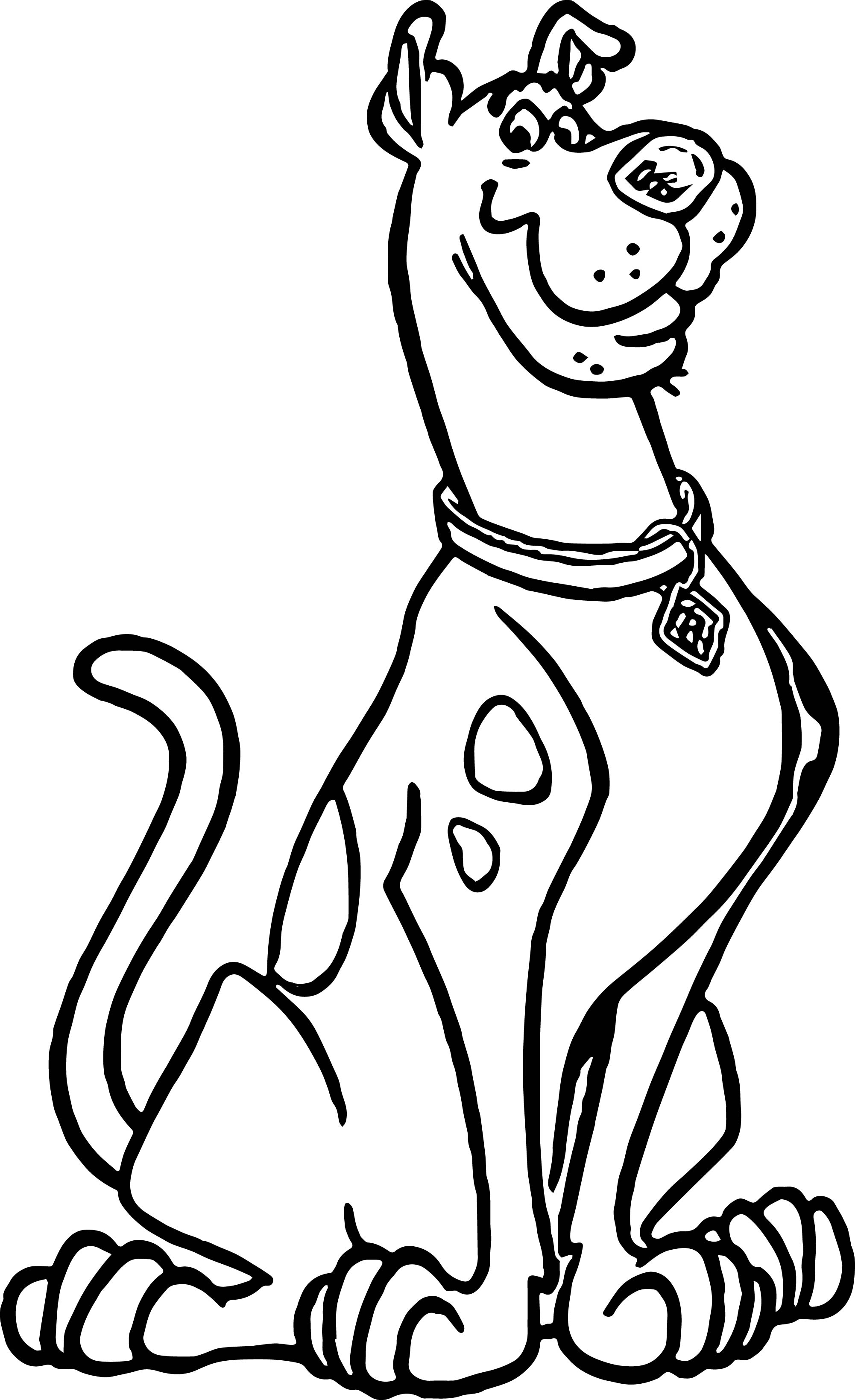 Scooby Doo Outline Free download on ClipArtMag