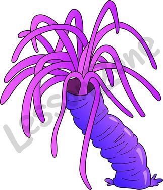 Sea Coral Clipart | Free download on ClipArtMag