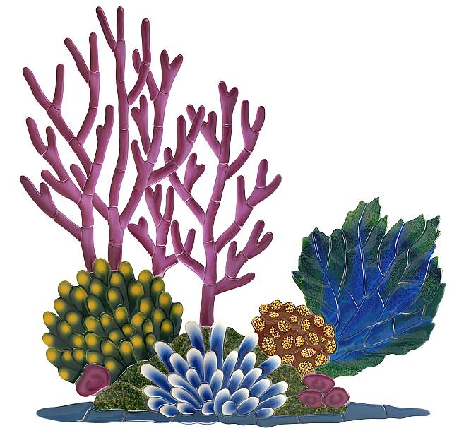 Sea Coral Clipart Free Download On Clipartmag